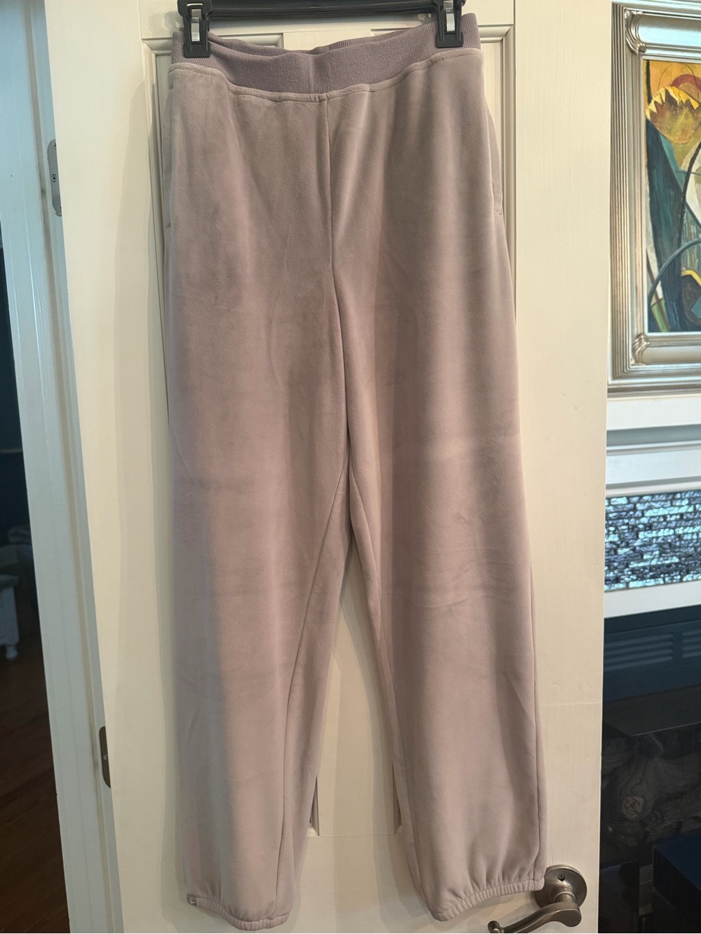 Barefoot Dreams Luxe Chic Velour Joggers NWOT